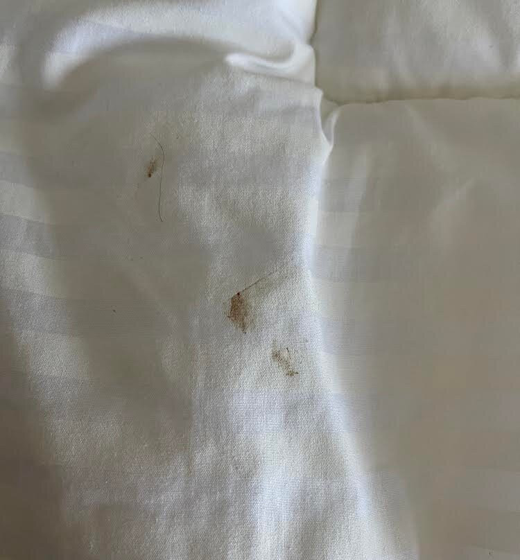 Residence Inn by Marriott Portsmouth Downtown/Waterfront主图