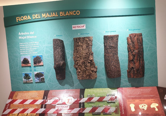 Aula De La Naturaleza, Majal Blanco-Sangonera La Verde必去景点