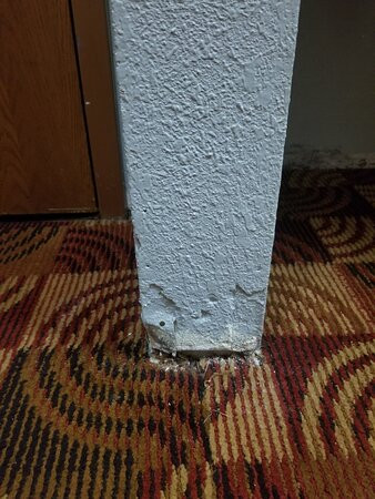 Quality Inn Bloomington Near University主图