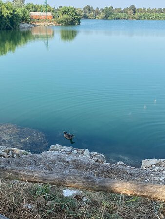 Ecoparco del Mediterraneo景点图片