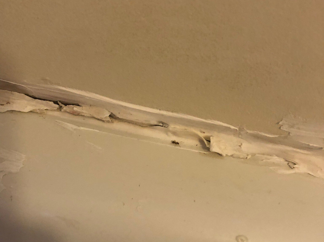 White Tail Resort主图