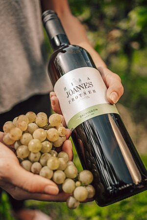 Hiša Joannes Protner Winery-Malecnik必去景点