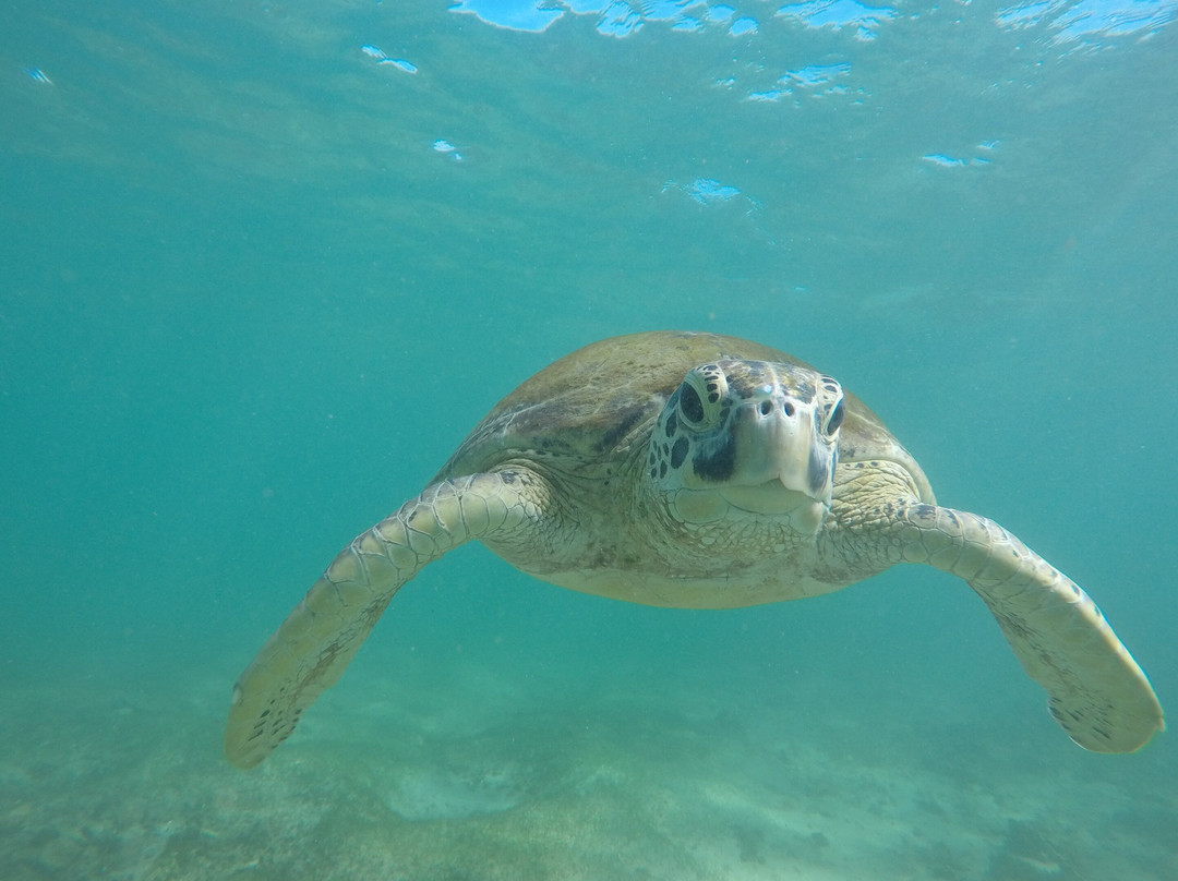 Mirissa Snorkling & Fishing Tours-美蕊沙必去景点