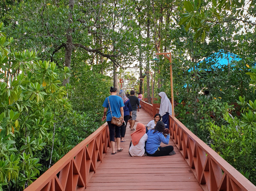 Ruar Mangrove Forest Park-Biak必去景点