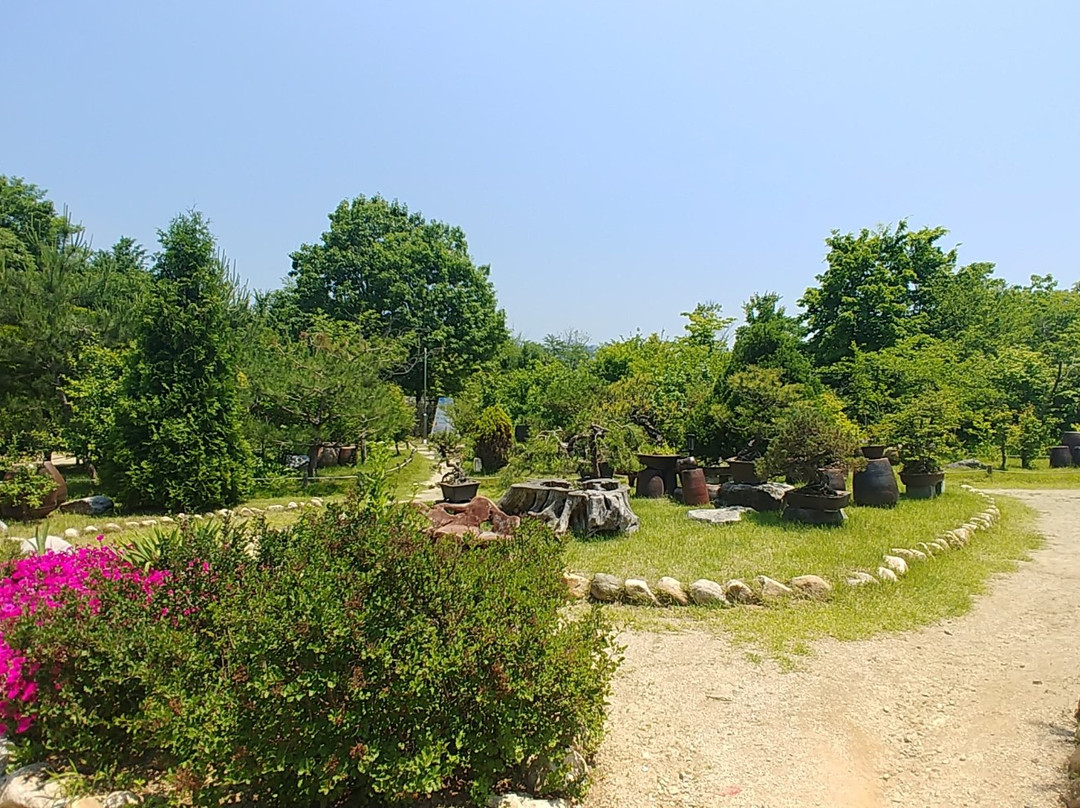 杨平郡旅游景点-Angela Garden