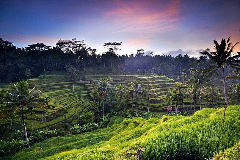 Bali Guide, Bali Excursions景点图片