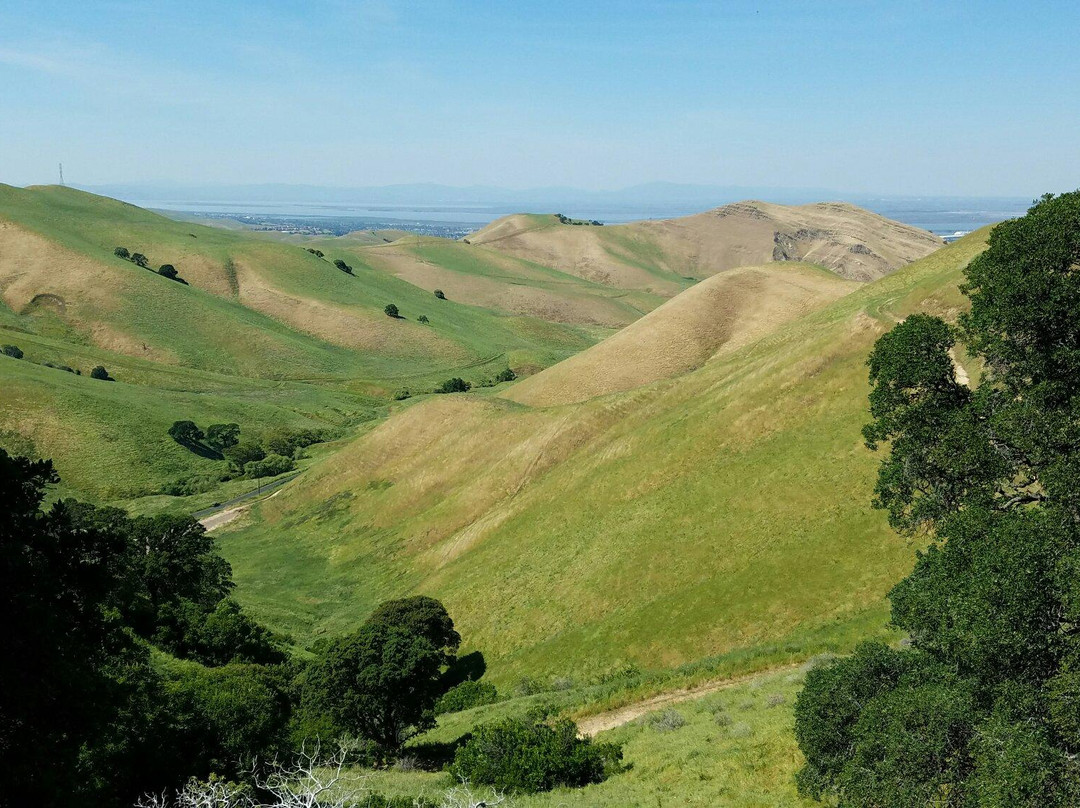 安条克旅游攻略图片