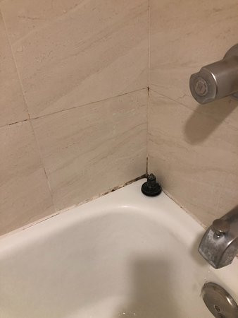 Gamma Ciudad Juárez主图