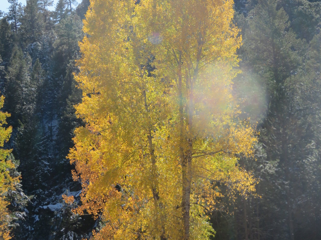 Glen Haven旅游攻略图片