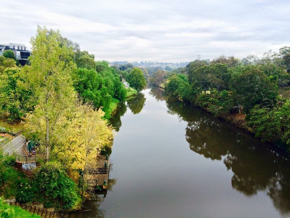 Yarra Bank Reserve景点图片