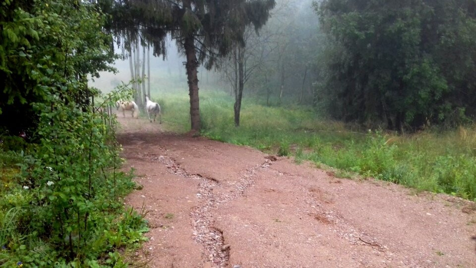 Bugrovo旅游攻略图片