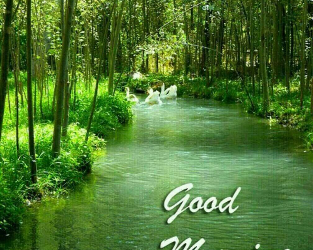 Cotabato Province旅游攻略图片