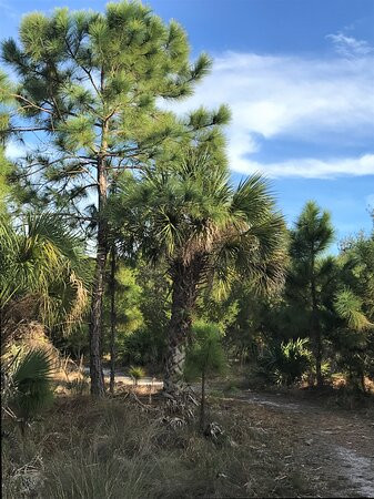 Cedar Point Environmental Park-恩格尔伍德必去景点