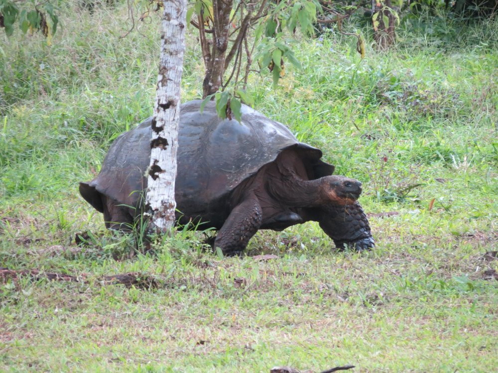 Santa Cruz Island-圣克鲁斯必去景点