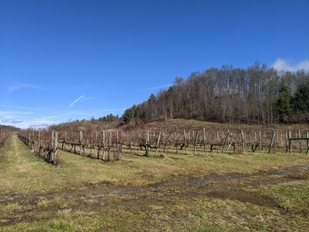 MountainRose Vineyards景点图片