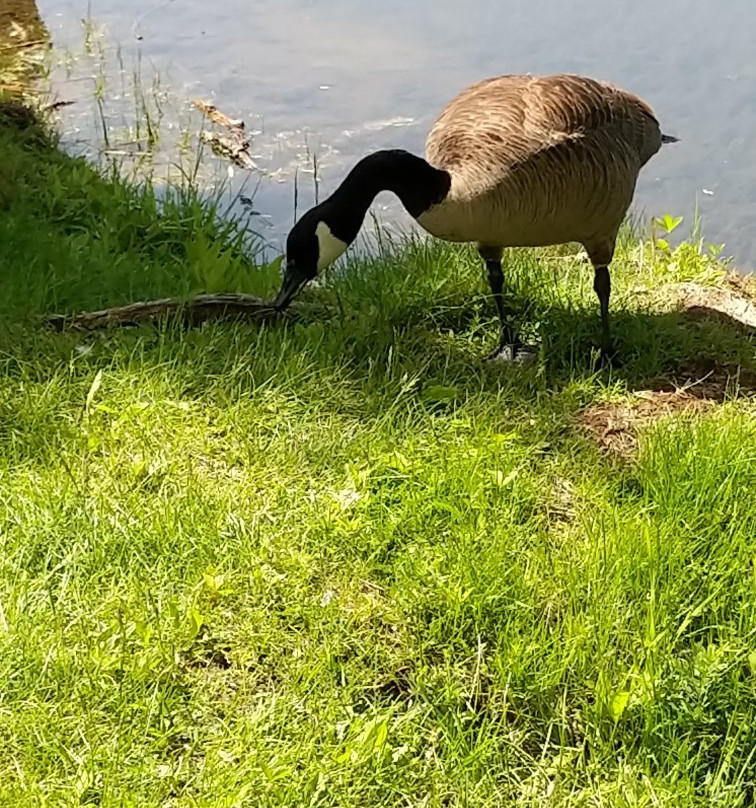 Parc du Grand-Coteau-Mascouche必去景点