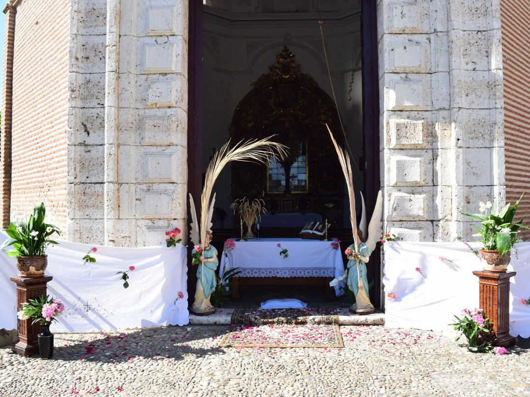 Rueda旅游攻略图片