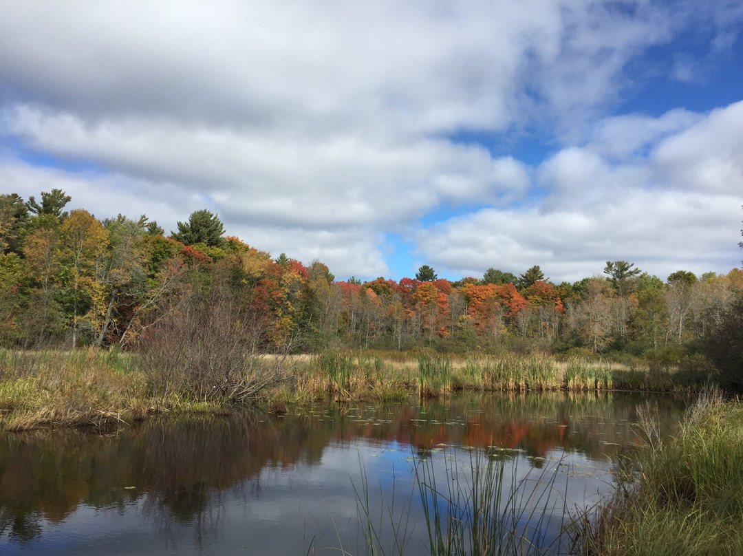 Township of The Archipelago旅游攻略图片