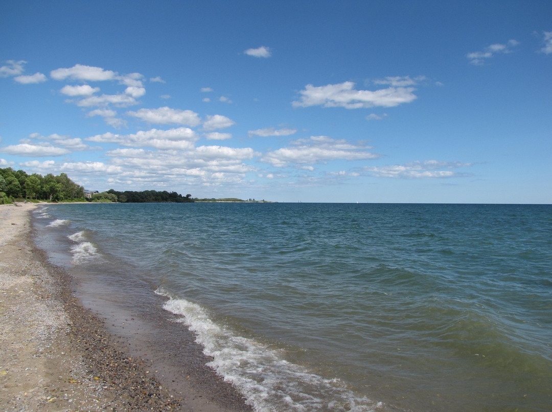 Whitby旅游攻略图片