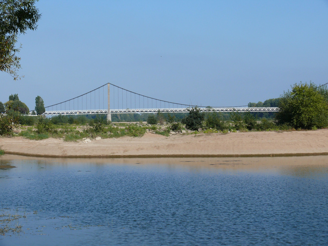 Ancenis旅游攻略图片