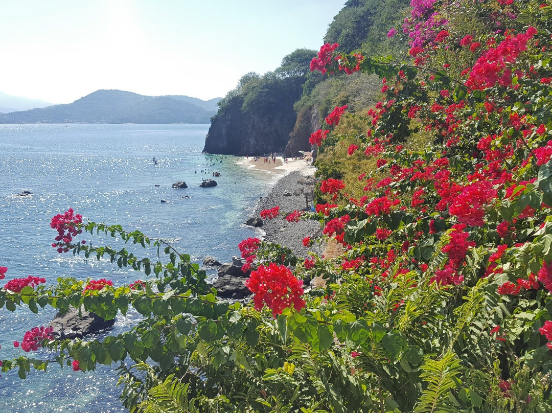 Lo de Marcos旅游攻略图片