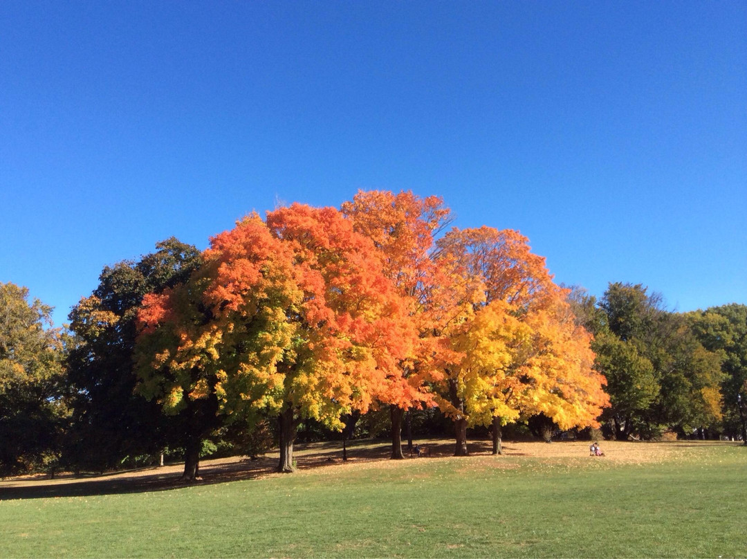 布卢姆菲尔德旅游攻略图片