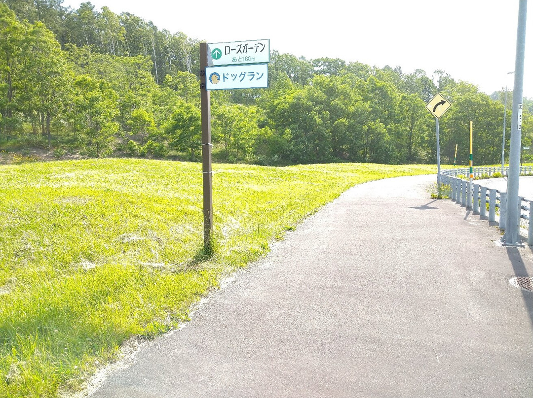Chippubetsu Parking Area Inbound and Outbound