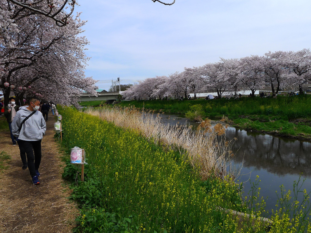 Asakadai-朝霞市必去景点
