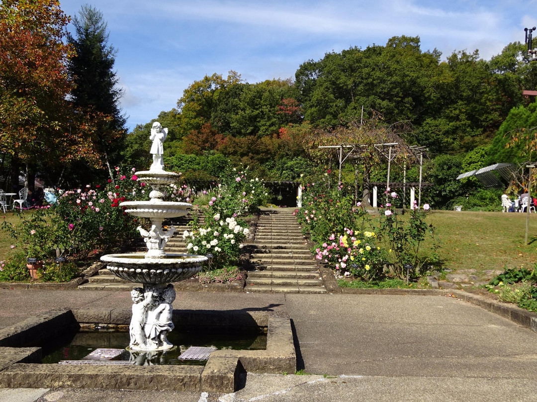 Nishinomiya Kitayama Botanical Garden景点图片
