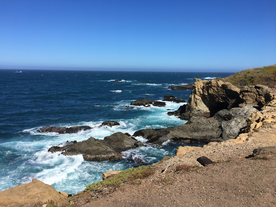 Fort Bragg Coastal Trail景点图片