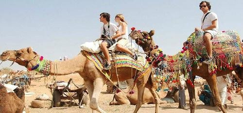 Visit To India Tours - Day Tours景点图片