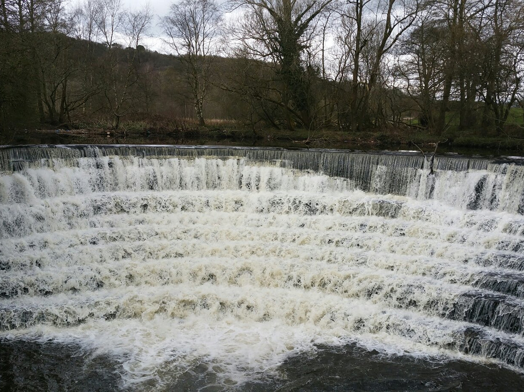 Etherow Country Park景点图片