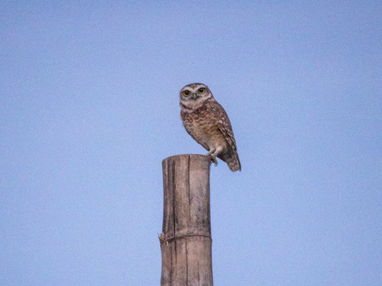 Arena Corais De Saquaira-Marau必去景点