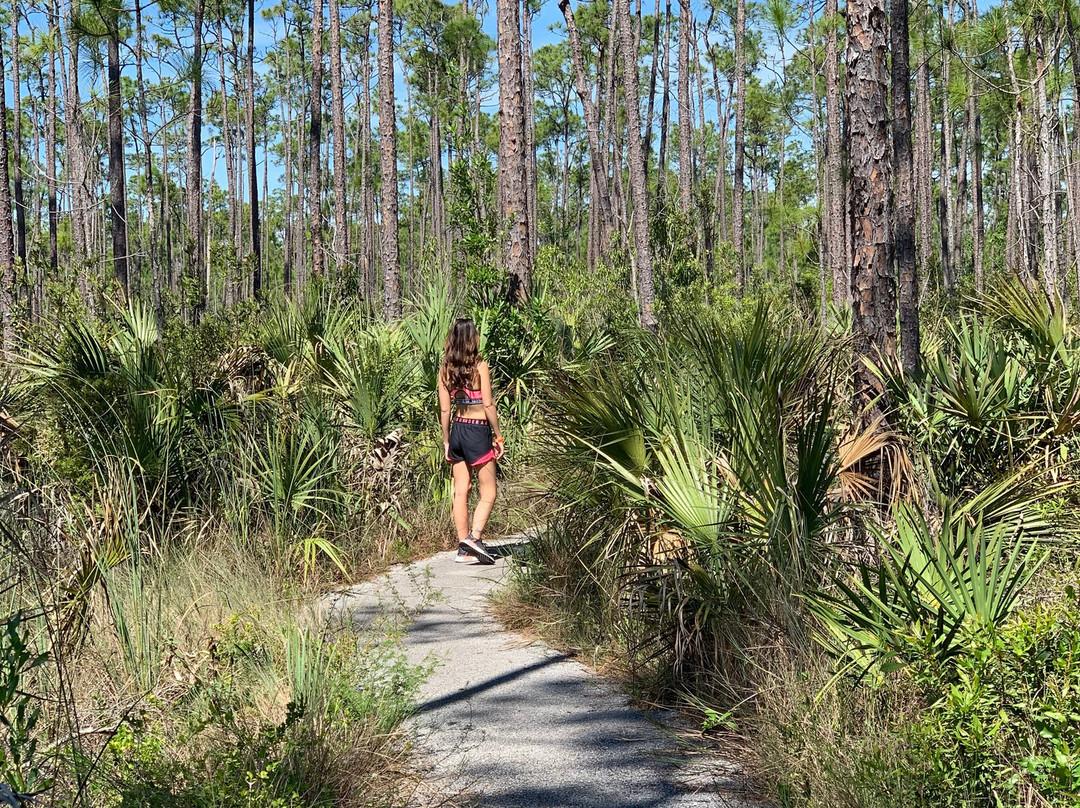 Everglades National Park-佛罗里达城必去景点