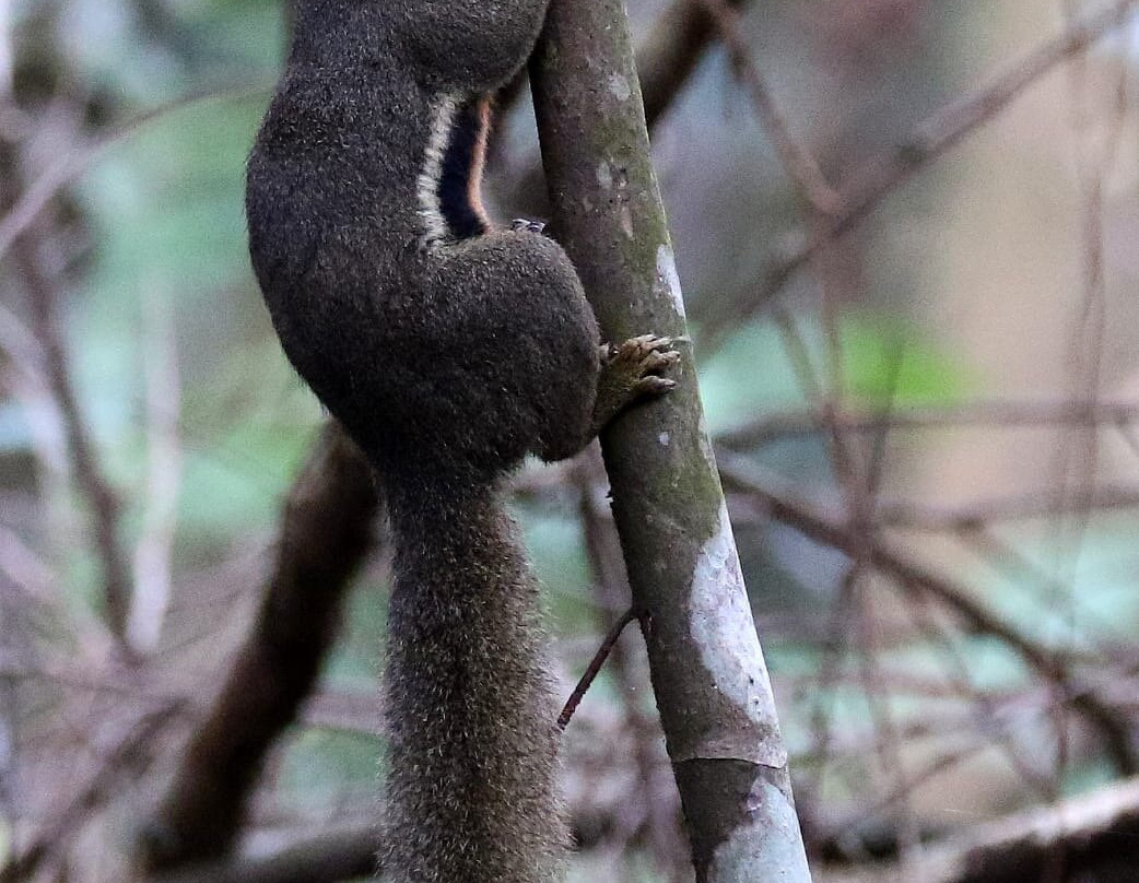 Admiralty Park-新加坡必去景点