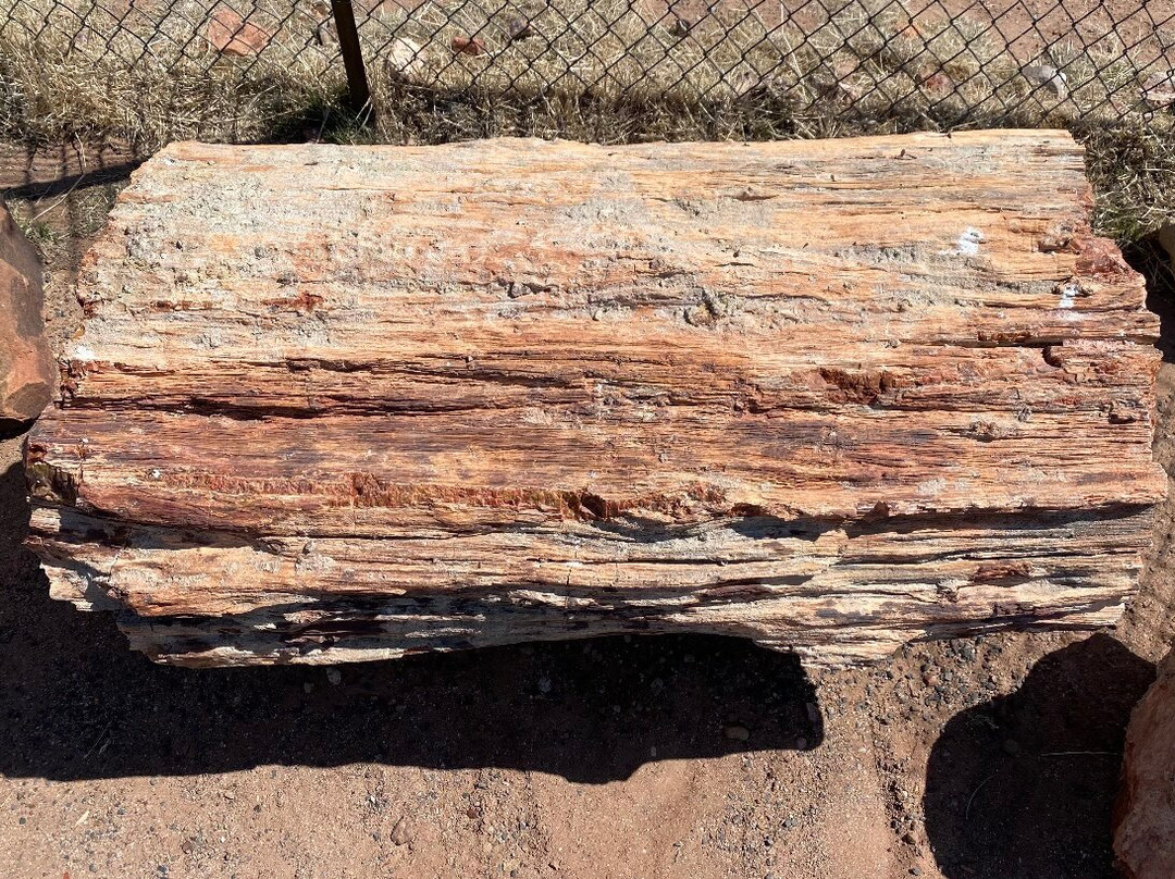 DoBell Ranch-霍尔布鲁克必去景点