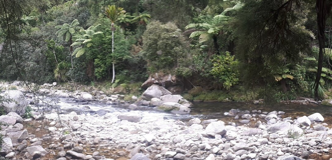 Wainui Falls Track-Abel Tasman National Park必去景点