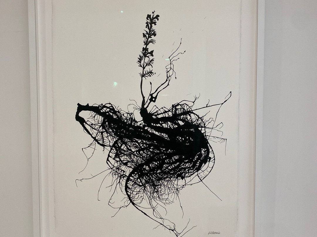 Cornell Art Museum-德拉海滩必去景点