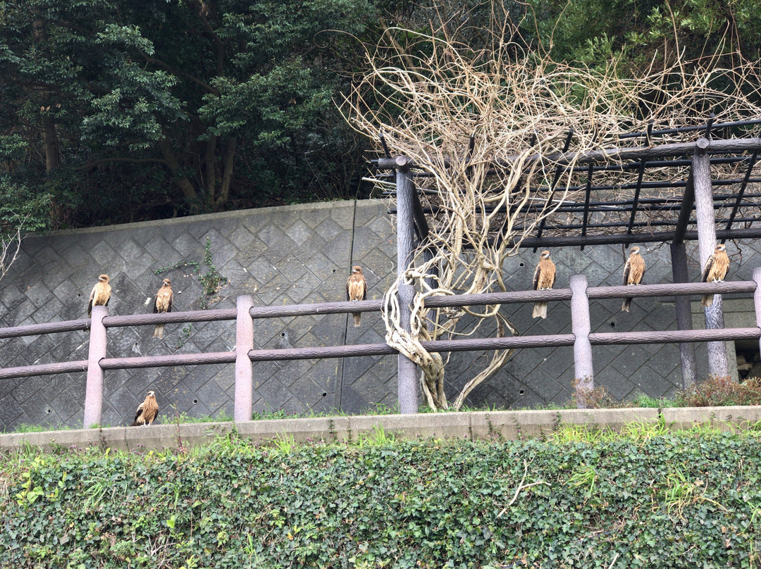 Myojin Pond-萩市必去景点