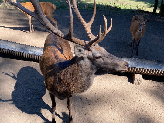 Turismo Florencia-普孔必去景点