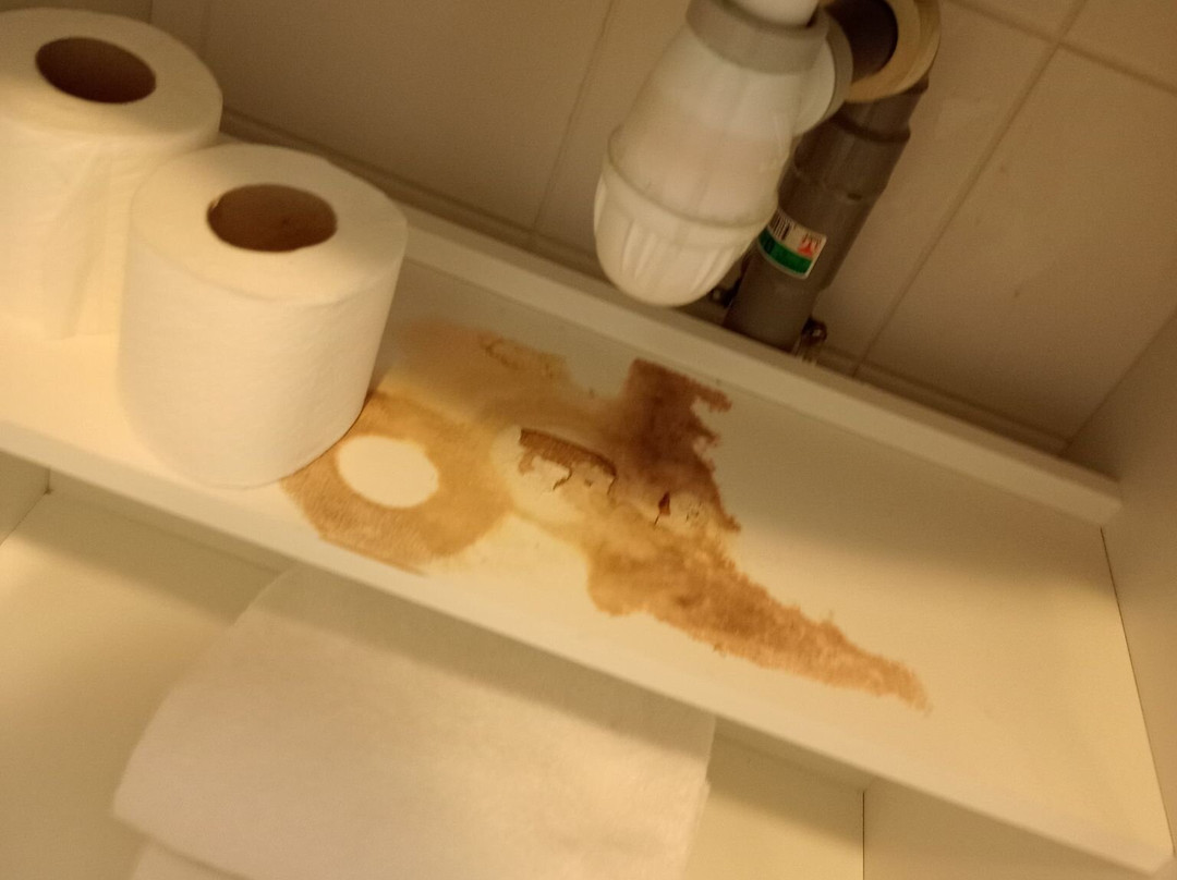 塞祖尔阿菲尔塞利左岸酒店主图