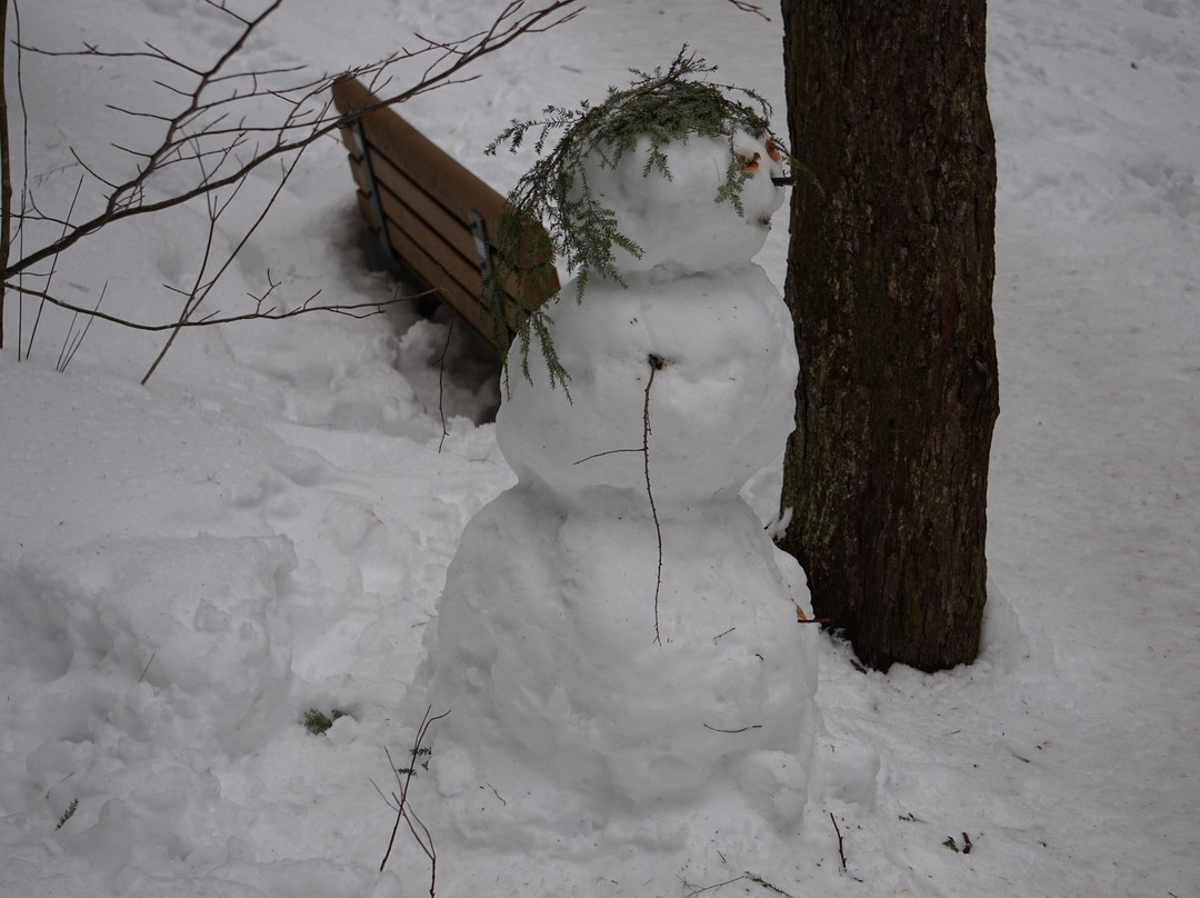 Wagner Falls-缪尼辛必去景点