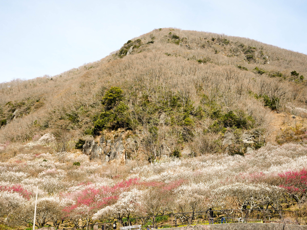 Yugawara Bairin-汤河原町必去景点