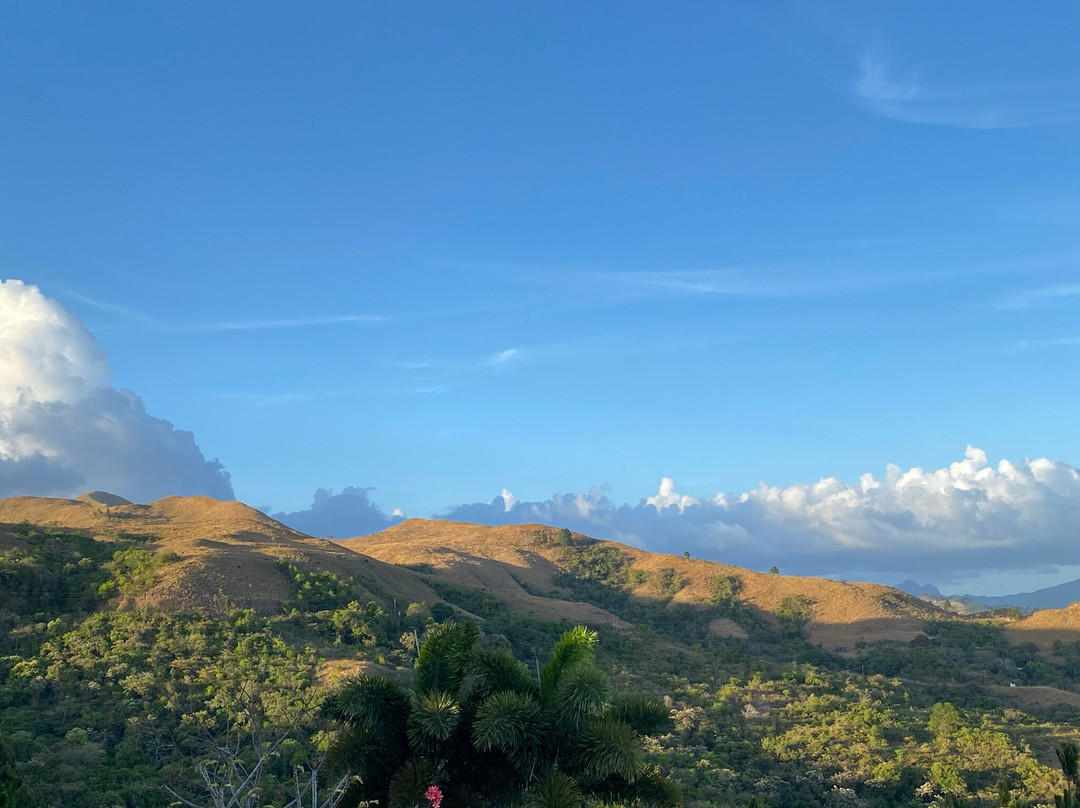 Hawk's Nest Bed & Breakfast主图