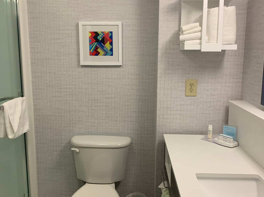 Hampton Inn & Suites Tampa/Ybor City/Downtown主图