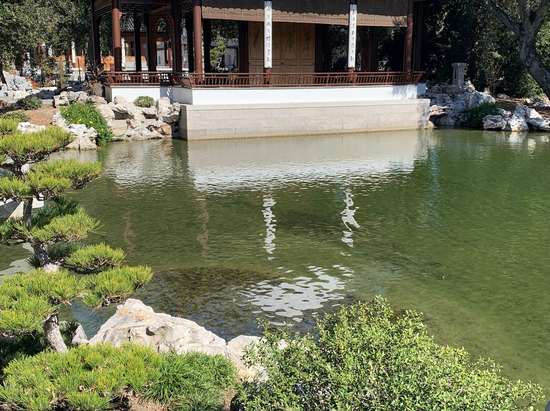 Huntington Chinese Garden-圣玛利诺必去景点