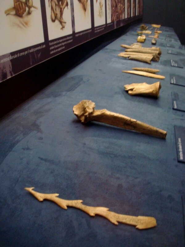 Museo Vittorino Cazzetta景点图片