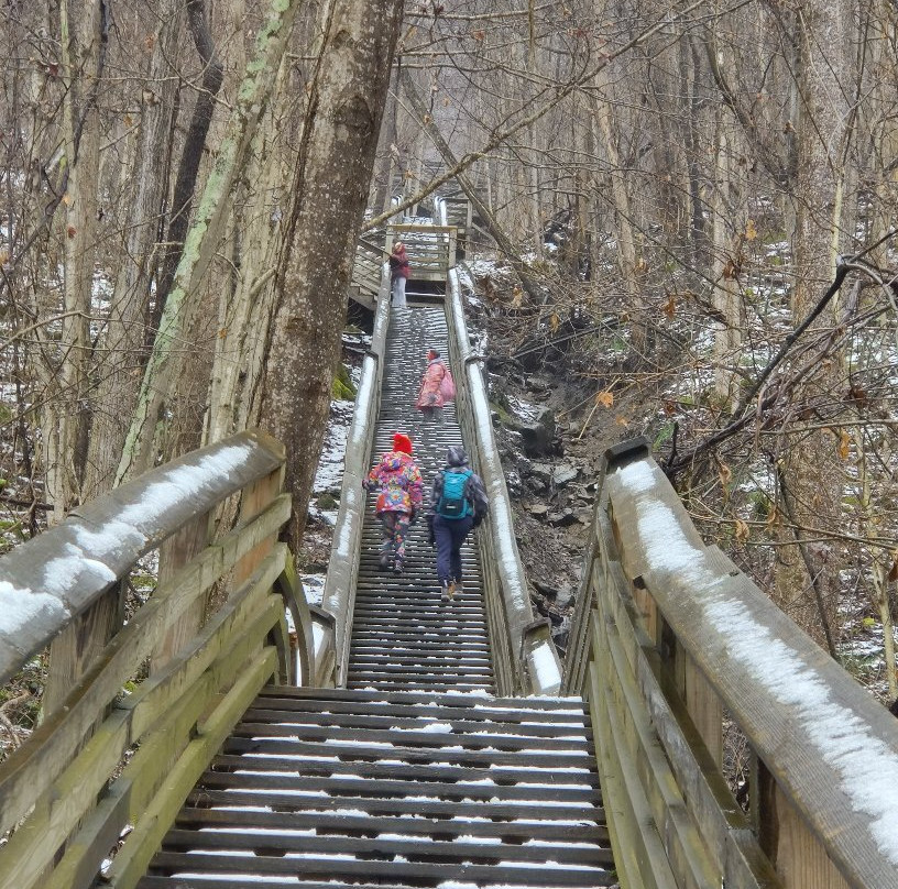 Kaymoor Miners Trail景点图片