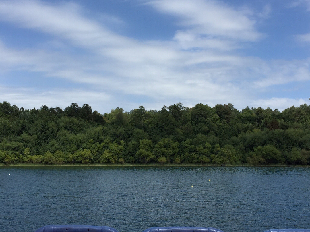 Lake Villarrica景点图片