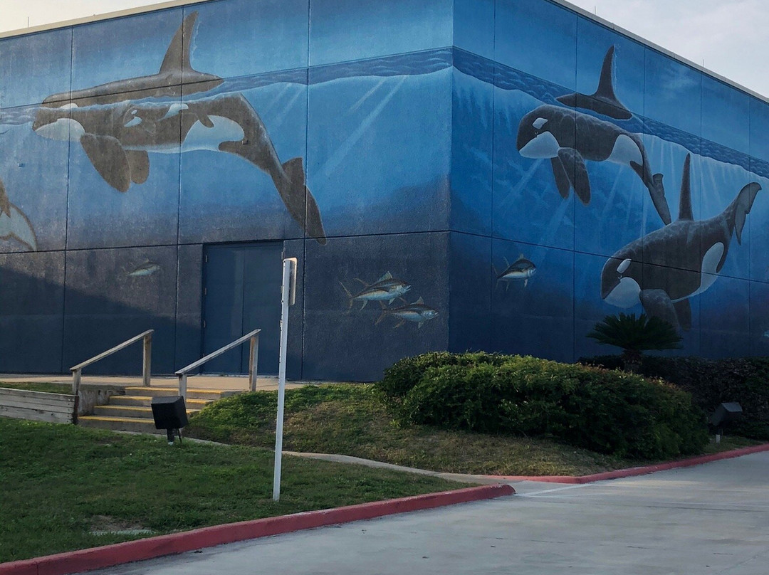 Wyland's Whaling Wall-南帕诸岛必去景点